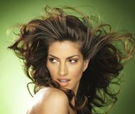 Dawn_Olivieri-Heroes