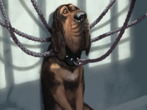 Alice_no_pais_das_maravilhas_Bayard