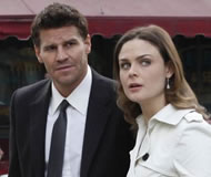 Bones_5x15_peq