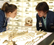 Bones_5x16_peq