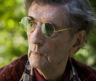 Lagarta_Harry_Dean_Stanton