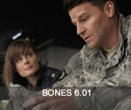 bones