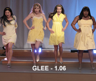 GLEE-1X06