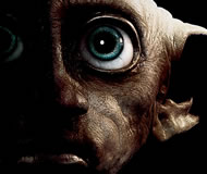 HP_dobby