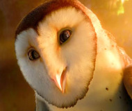 Legend-of-the-Guardians-2