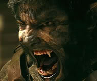 TheWolfman