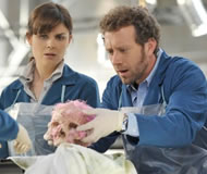Bones & Hodgins