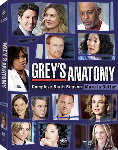 greys_season_6_box