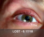 review-lost-series_finale