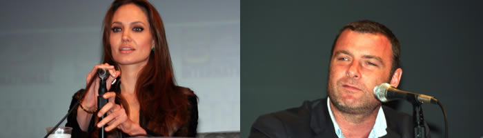 salt-cc2010-jolieliev